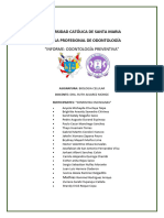 Informe Preventivo