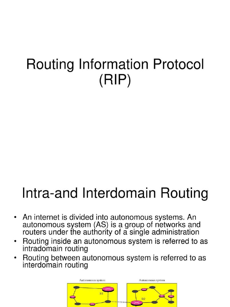 RIP Basics | PDF