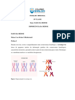 Ficha Sobre A Meiose