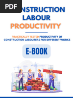 Construction Labour Productivity E-Book