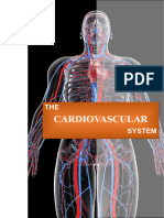 The Cardiovascular System Final