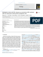 MethylationstatusandAP1elementsareinvolvedinEBV-mediated miR-155expressioninEBVpositivelymphomacells