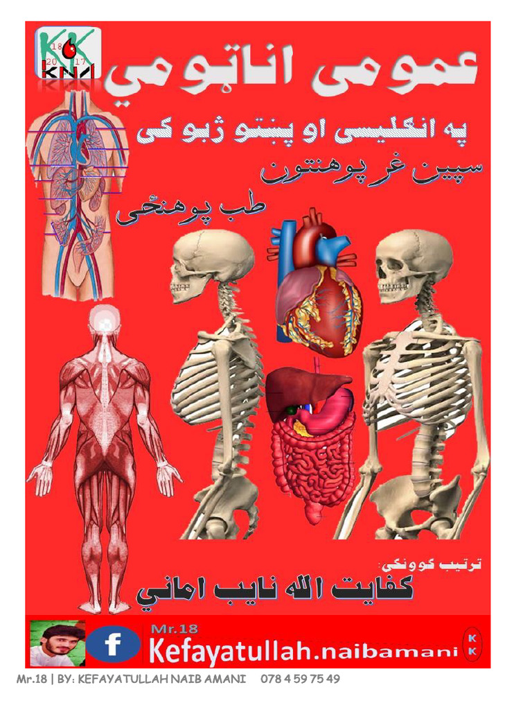 WHAT IS ANATOMY PDF visual data 6