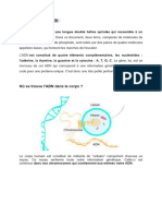 Structure-ADN. (1)