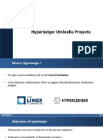 Hyperledger Projects
