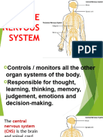 The Nervous System - Co Laptop Uvpuu78a