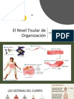 El Nivel Tisular de Organizacion Clase 2.pptx