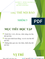 THỤ-THỂ-NỘI-BÀO