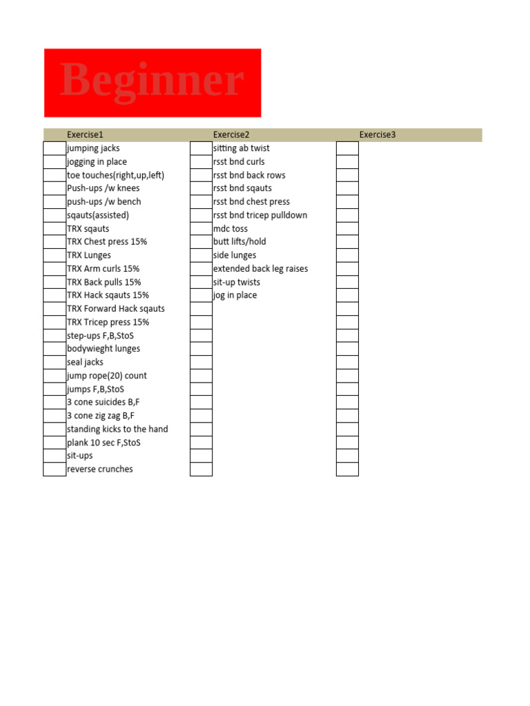 Exercise Spreadsheet v1.0 | PDF | Physical Fitness | Physical Exercise