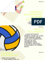 Nature & BG Volleyball