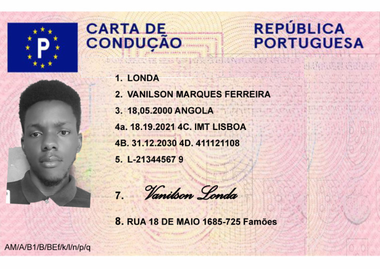 Carta De Conducao Brasil/carta Brasileira