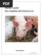 Road Runner Chicken Farming Guide | PDF | Chicken | Egg