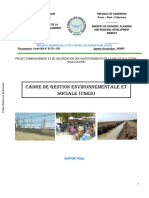 Cadre de Gestion Environnementale Et Sociale