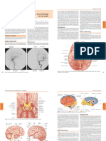 Gray's Anatomy - The Anatomical Basis of Clinical Practice - Chap 19 Doc Hijosa