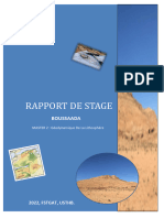 Rapport de Stage M2