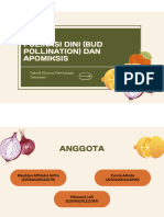 Kelompok 7 - Polinasi Dini Dan Apomiksis - Jeruk - PPT PDF