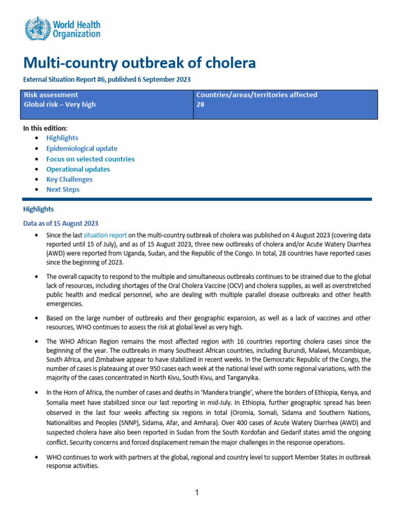 Cholera Outbreak Update: September 2023 | PDF | Cholera | World Health ...