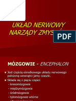 Techniki Dentystyczne Wyklad NR 4 - Uklad Nerwowy, Narzady Zmyslow