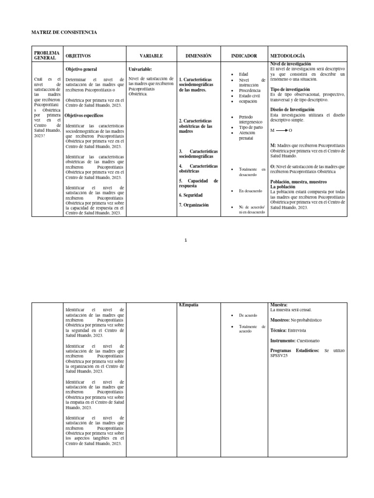 Matriz de Consistencia | PDF