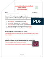 Unit 6 (Photosynthesis) - Worksheet Answer Key