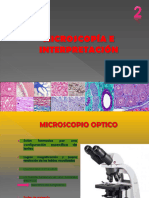 Microscopía e Interpretación (1) 22222222222222222222