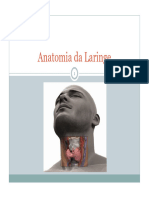 1 - Anatomia Da Laringe Reduzido (Modo de Compatibilidade)