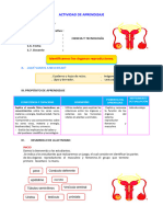 D2 A3 SESION CT. Identificamos los órganos reproductores.