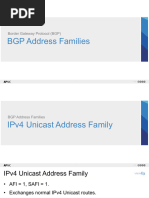 d1 s2 BGP Address Families