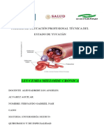 LEUCEMIA MIELOIDE CRÓNICA Place