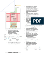 Lipids Metabolism