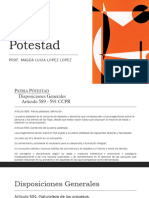 Patria Potestad