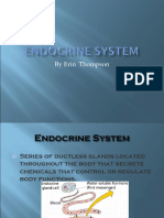 M3 Endocrine System. Updated