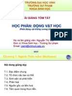 Ngành thân mềm