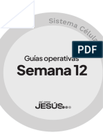 Guías 12