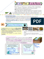 Guía Evidencias de La Evolución