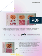 Osmose (1)