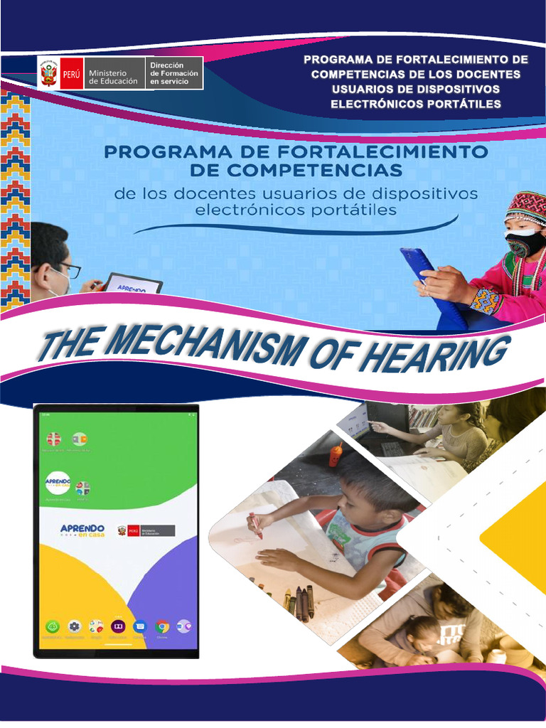 Mechanism Of Hearing