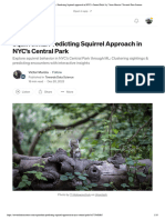 SquirrelML - Predicting Squirrel Approach in NYC's Central Park - by Victor Murcia - Towards Data Science