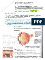 FICHA - CIENCIA Y TECNOLOGÍA - Los organos de los sentidos 1  13-04-2022