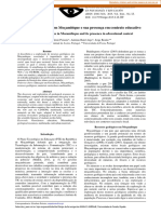 Recursos Minerais Em Moçambique Microeconomia