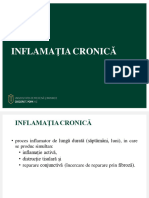4 Inflamatia Cronica Curs