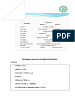 Formato Posible para La Redaccion de Recorridos Didacticos