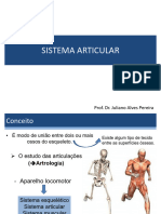 TÃ Picos Sistema Articular