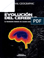 13 La Evolucion Del Cerebelo