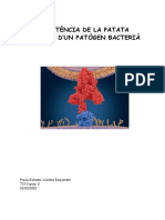 TCI3 - Patata PDF