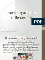 Microorganisme Utile Omului