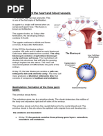 Development of The Heart and Blood Vessels