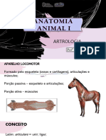 Aula 6 - Anatomia I - Artrologia 2024