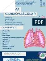 Sistema Cardiovascular 