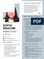SOFIA MARIN SIPAN - Curriculum Vitae CV Profesional